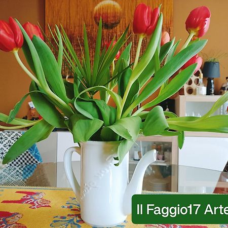 Il Faggio 17 B&B Artena Exterior photo