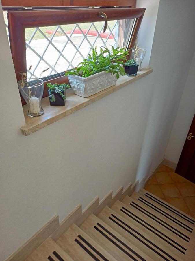 Il Faggio 17 B&B Artena Exterior photo