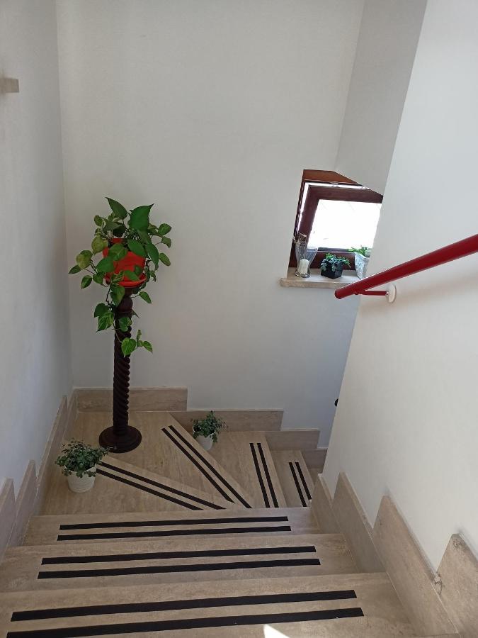 Il Faggio 17 B&B Artena Exterior photo