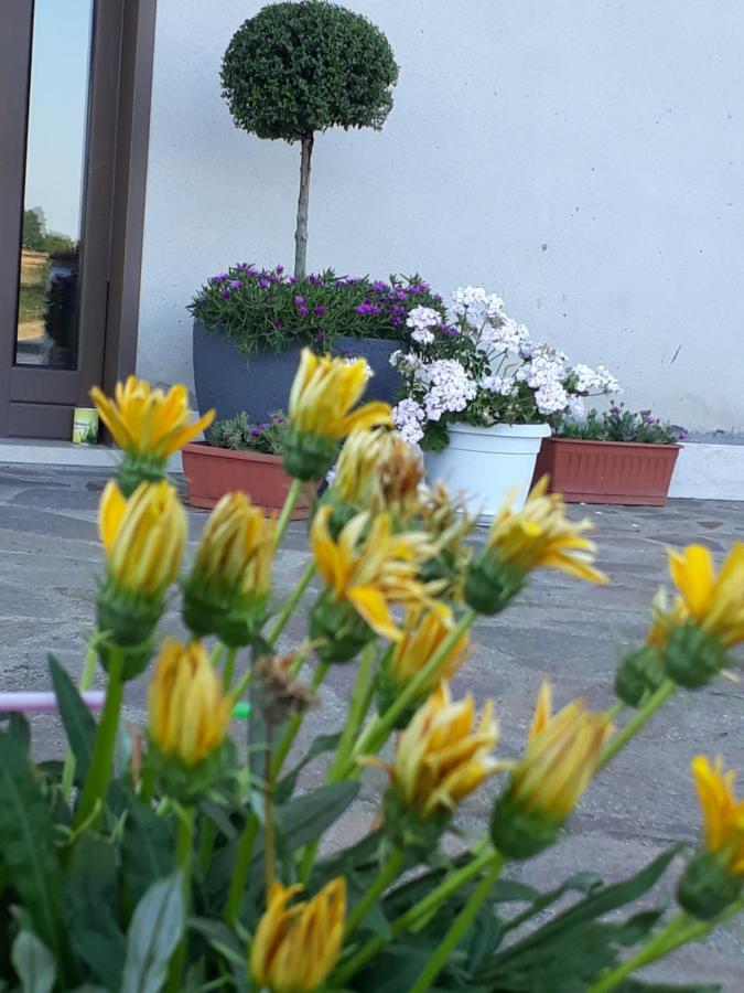 Il Faggio 17 B&B Artena Exterior photo